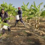 hotspot-zimbabwe-10
